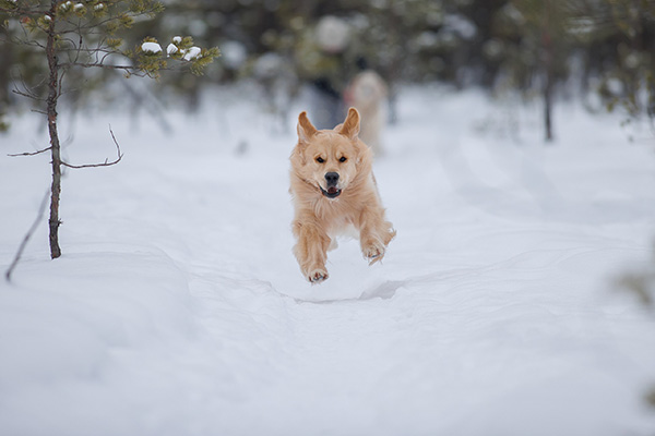 И только ветер гудит в проводах...(часть 1)