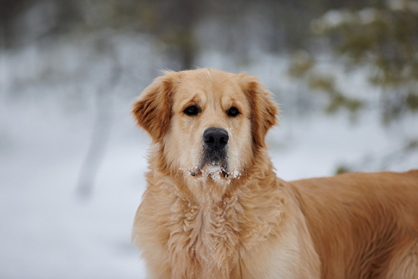 И только ветер гудит в проводах...(часть 2)