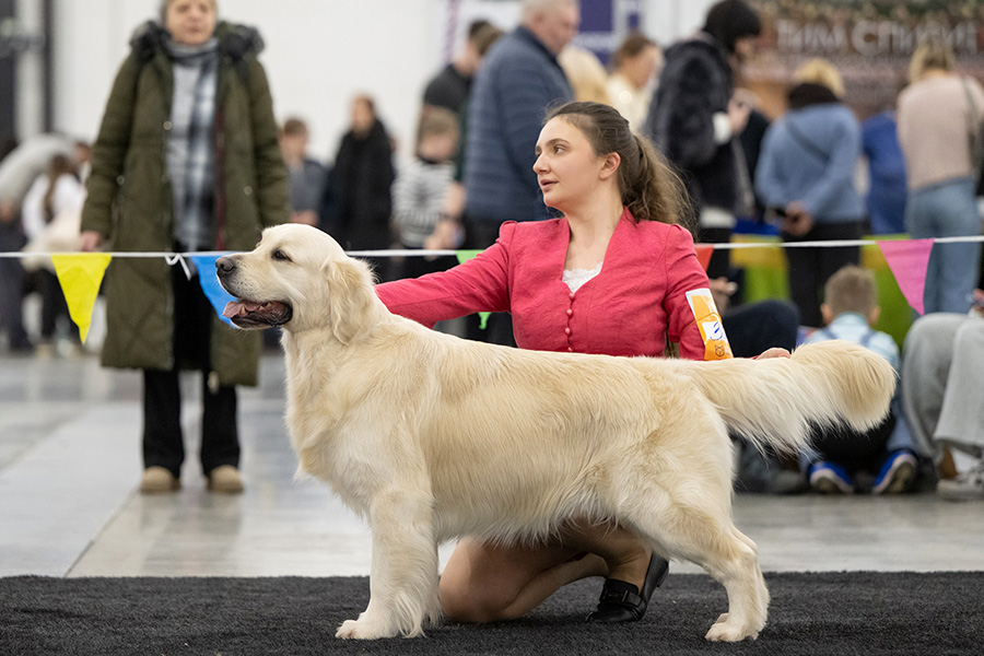 Леонардо Да Винчи ин лардж